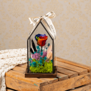 Persevered rose - Rainbow Delight | Black Tulip Flowers