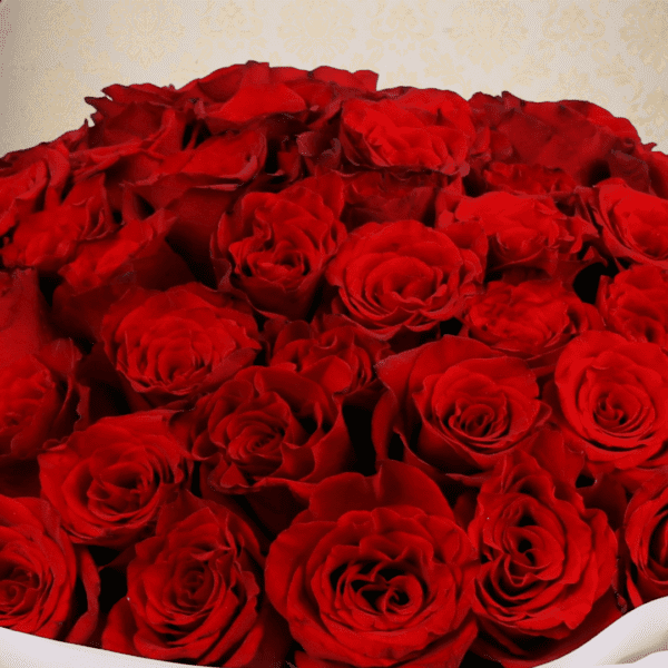 Heartfelt bouquet of red roses tied with a satin ribbon.