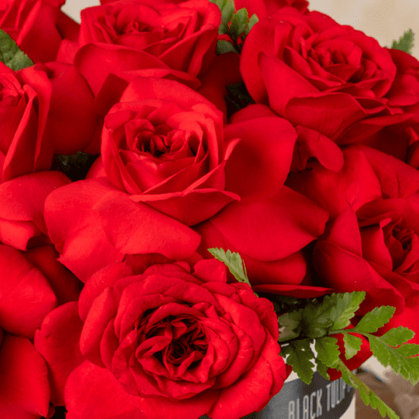 "The Love Box - Stunning Valentines Flowers Bouquet In Black Tulip Flowers "