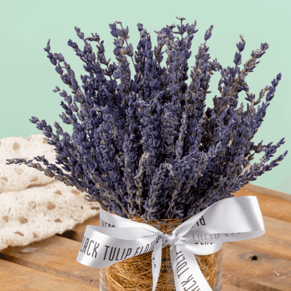 Dried Lavender Flowers - Premium Quality Blooms by Black Tulip Flowers | Perfect for Aromatherapy, Crafts & Home Décor