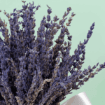 dried lavender bouquet wrapped elegantly (4)
