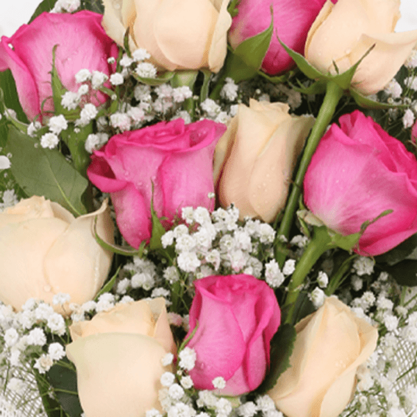 Send/Buy Rose Flower Bouquets | 12 Stem Pastel Roses