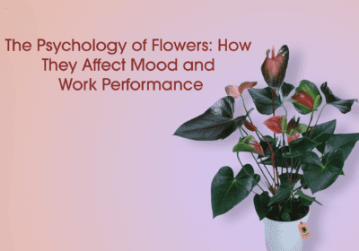Flower for Office Table: 5 Powerful Ways to Boost Mood & Productivity
