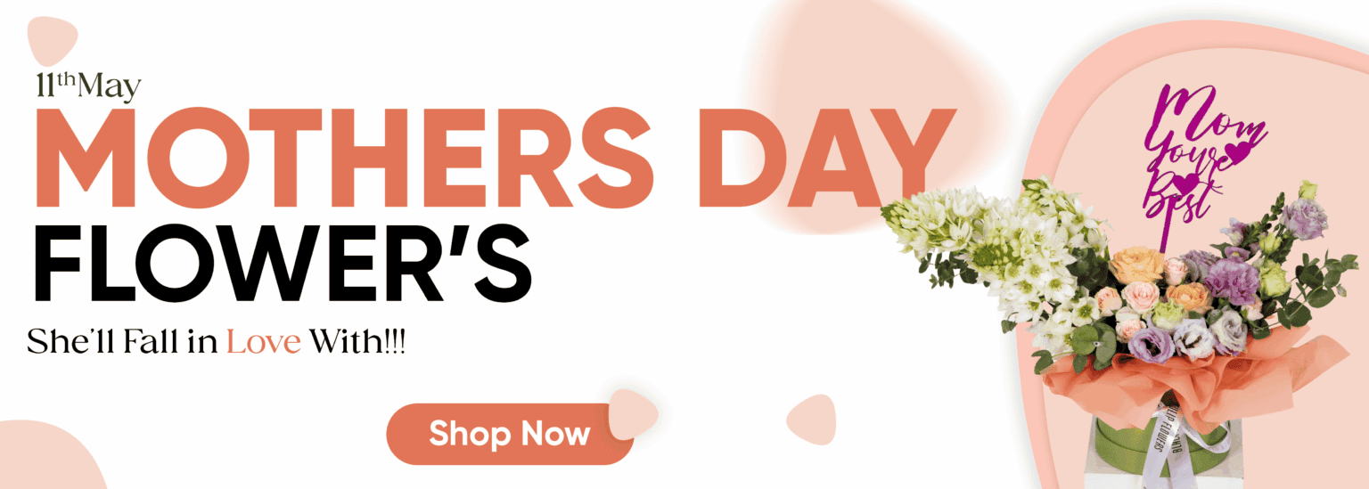 Mothers day BTF Banner