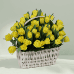 Arrangement of 50 yellow tulips in a woven basket