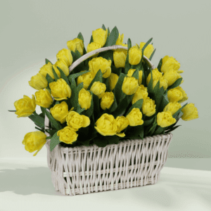 Arrangement of 50 yellow tulips in a woven basket