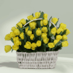 Tulips basket Arrangement (2)