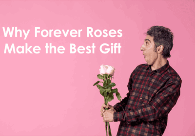 Why Preserved Roses Make the Best Gift? Real Roses That Last for Years