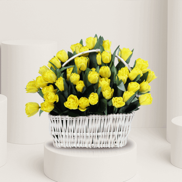 Arrangement of 50 yellow tulips in a woven basket