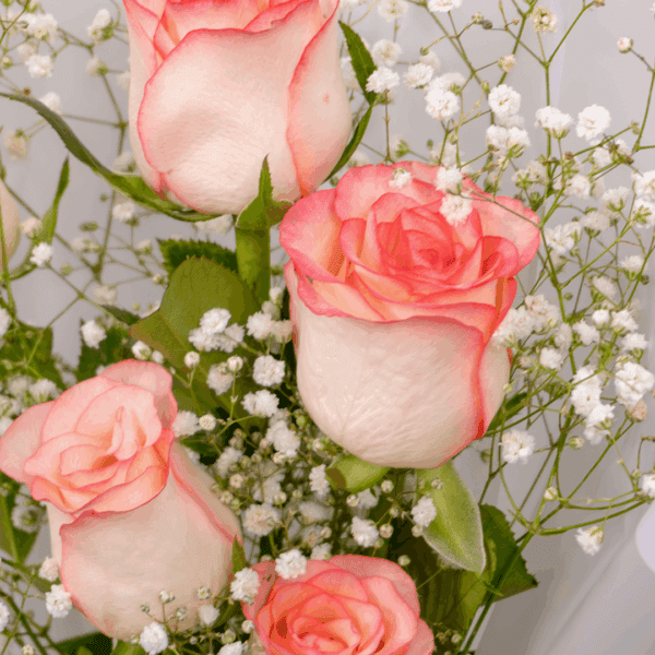 Blush Glow Bouquet (2) Bouquet of blush pink roses wrapped in white Korean style sheet