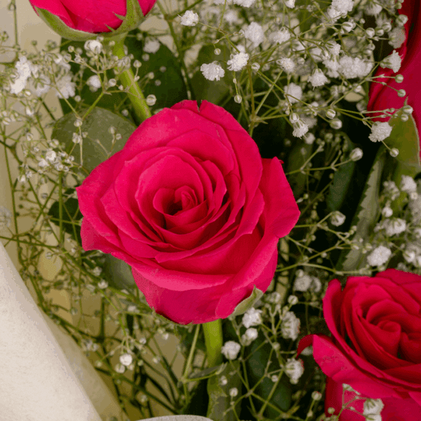 Soft blush roses arranged with eucalyptus foliage creating a dreamy and romantic floral bouquet.
