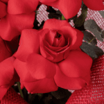 Bold Romance – 6 red rose bouquet (5)