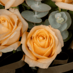 Elegant 8 Peach Roses with Eucalyptus (1)
