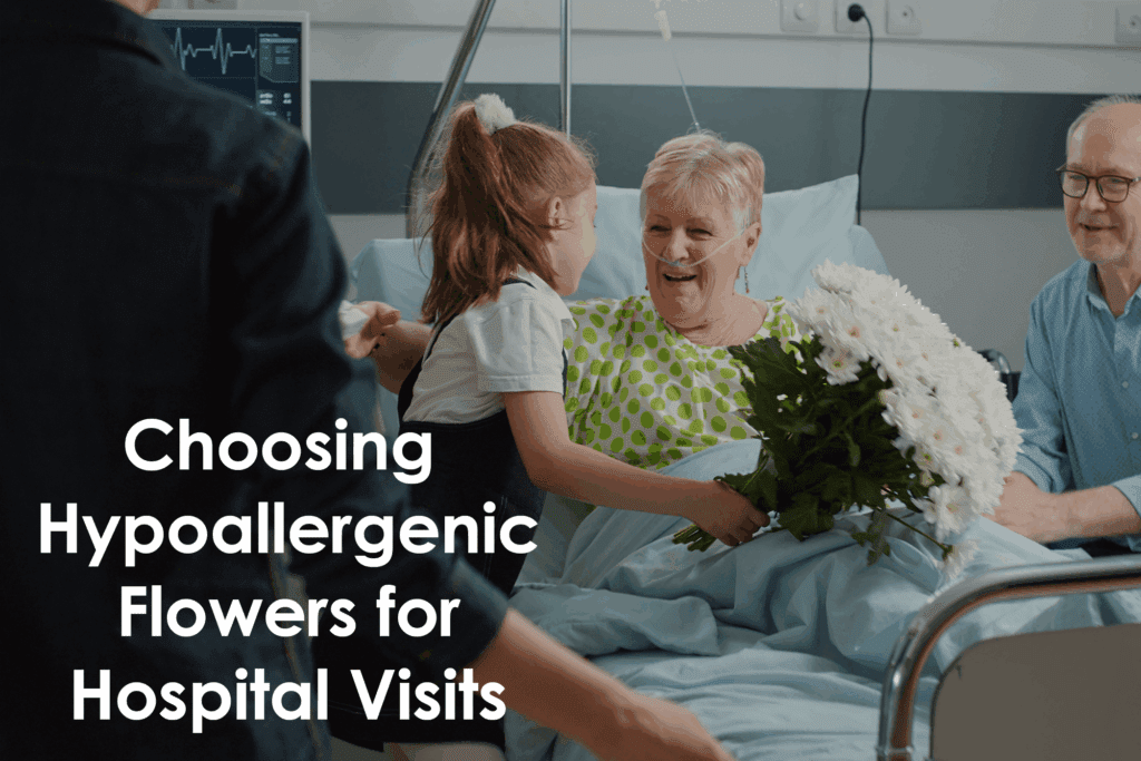 Looking for the best flowers for hospital patients? Explore hypoallergenic options that uplift without triggering allergies. Safe, soothing, and thoughtful.