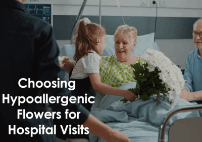 Looking for the best flowers for hospital patients? Explore hypoallergenic options that uplift without triggering allergies. Safe, soothing, and thoughtful.