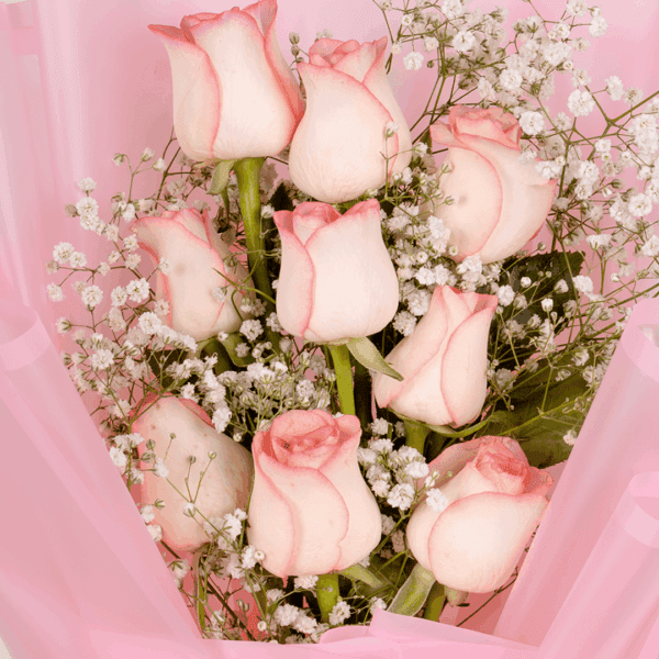 Romantic 8 pink rose and gypso bouquet with stylish wrap