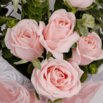 Pink Serenity 7-Stem Pink Rose (5)