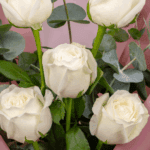 Vanilla Bloom – 5 Stem White Rose (2)