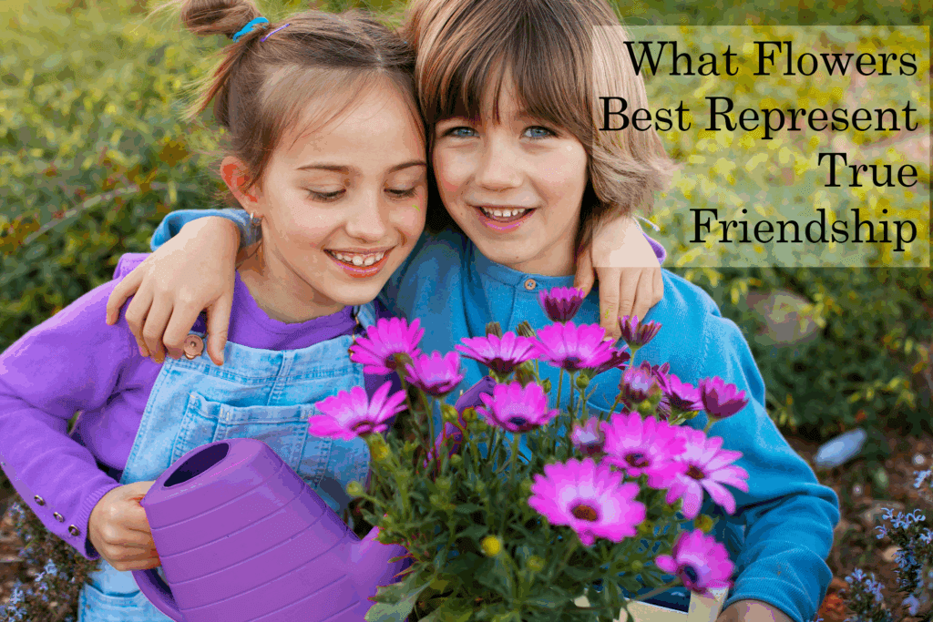 Wondering what flowers symbolize friendship? From sunflowers to yellow roses, explore the best Friendship Day flowers for your dearest friend.