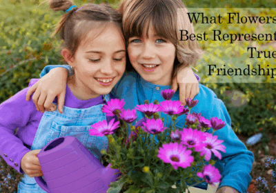 Wondering what flowers symbolize friendship? From sunflowers to yellow roses, explore the best Friendship Day flowers for your dearest friend.
