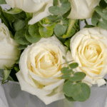 Whisper of White - 6 white rose bouquet (5)