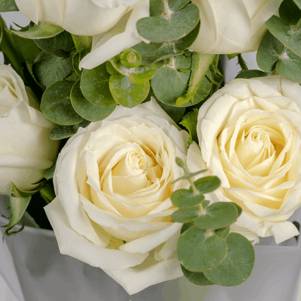Whisper of White - 6 white rose bouquet (2)
