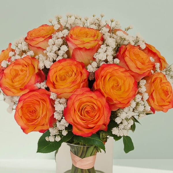 A bunch of orange roses with gypso in a transparent glass