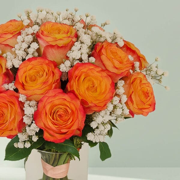 A bunch of orange roses with gypso in a transparent glass