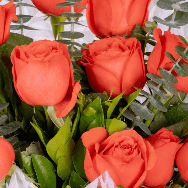Orange roses and green eucalyptus branches wrapped in textured white non-woven paper, tied with satin ribbon.