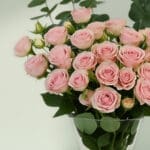 Moody Pink Roses in a glass vase (4)