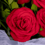Ruby Red - 10 Red Roses Bouquet (1)