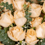 Serene Delight - 10 Peach Roses Bouquet (1)