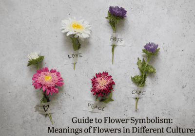 Guide to flower symbolism – meanings of flowers across different cultures and traditions