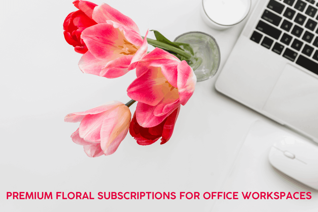 Luxury floral subscription service in Bangalore – fresh seasonal flowers delivered weekly for offices, corporate spaces, and workplaces