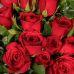Crimson Passion - 12 Red Roses Bouquet (1)
