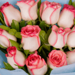 Pink Elegance - 12 Roses Bouquet (1)