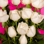 Pure Heart - 12 White Roses Bouquet (1)