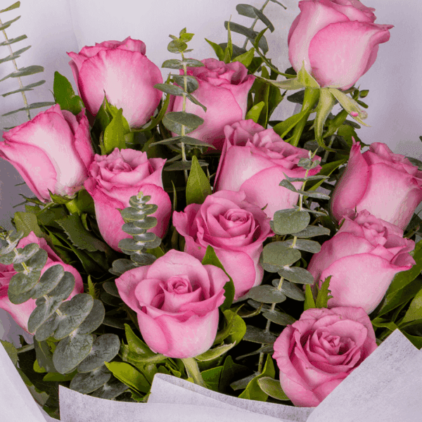 A bouquet of purple roses with green eucalyptus branches, wrapped in white non-woven paper and tied with a beige ribbon - 12 Roses Bouquet