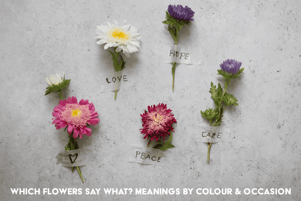 hich flowers say what – flower meanings by colour