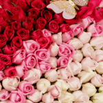120-assorted-roses-wooden-box (4)