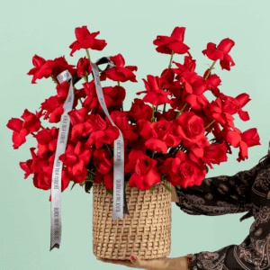 Round basket of 50 red roses arranged neatly with a white ribbon