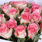 Blush Pink Roses Valentine Bouquet (4)