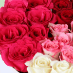 elegant-red-rose-bouquets (4)
