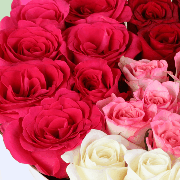 A vibrant combination of red, pink, and white roses arranged in a white heart-shaped box, topped with a golden "Love You" topper