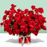 grand-red-rose-round-box (2)
