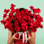 grand-red-rose-round-box (3)