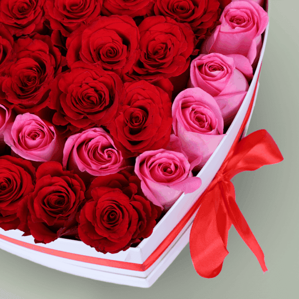 Heart-shaped white box filled with red and pink roses tied with a ribbon