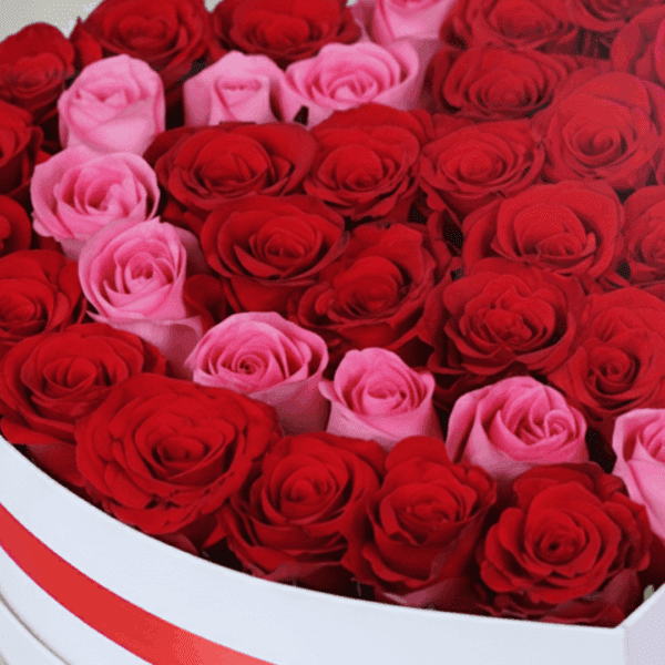 Heart-shaped white box filled with red and pink roses tied with a ribbon