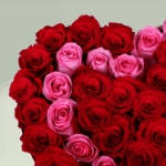 heart-shape-red-pink-rose-box (5)