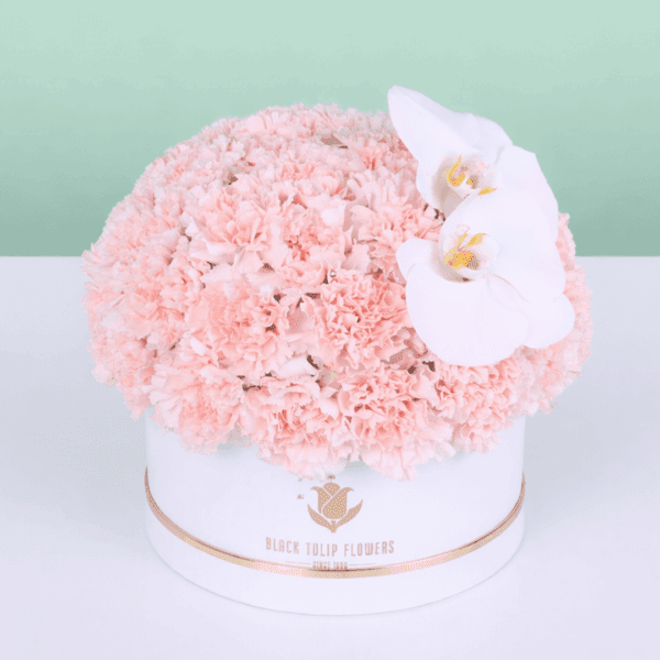 A white box filled with pink carnations finished with a white orchid accent.